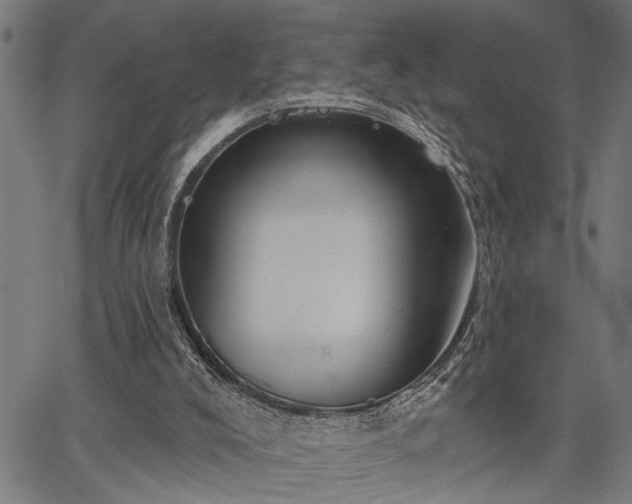 X0000067350008200604030945