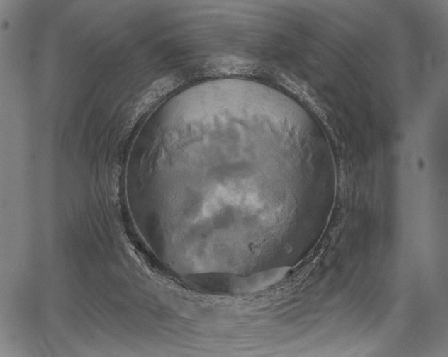 X0000067350010200604030945