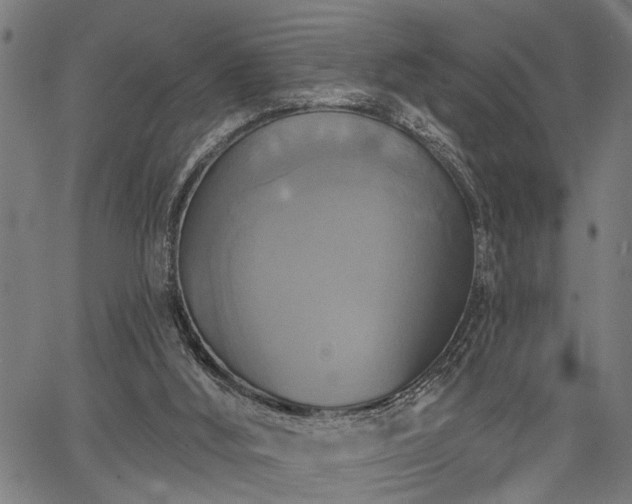 X0000067350012200604030945