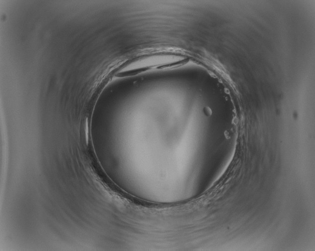 X0000067350013200604030945