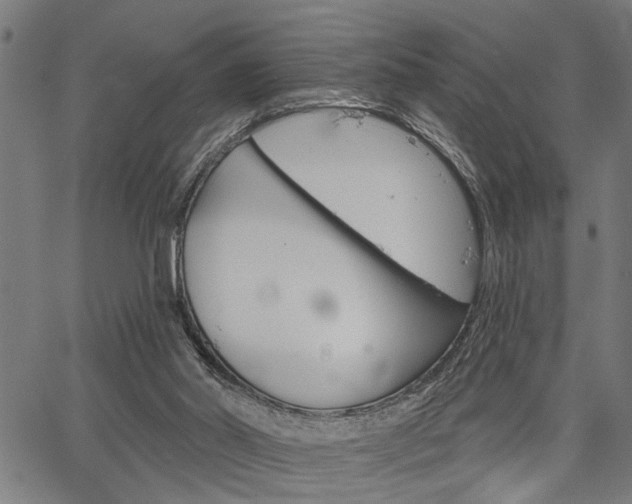 X0000067350014200604030945