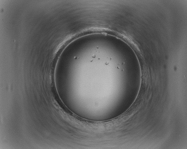 X0000067350015200604030945