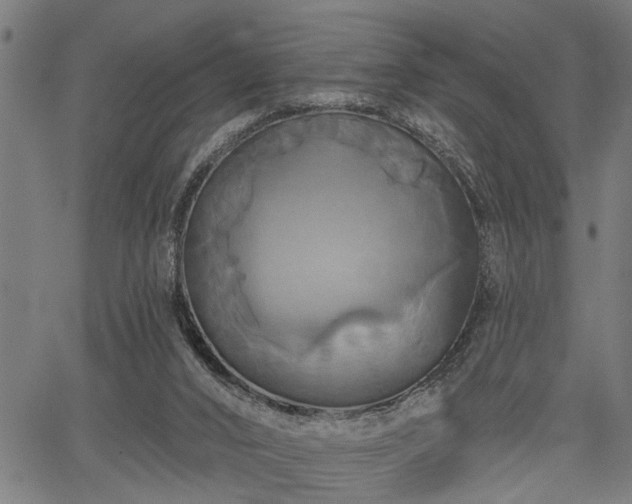 X0000067350016200604030945