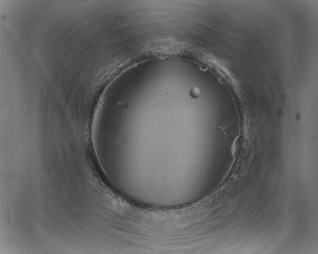 X0000067350017200604030945