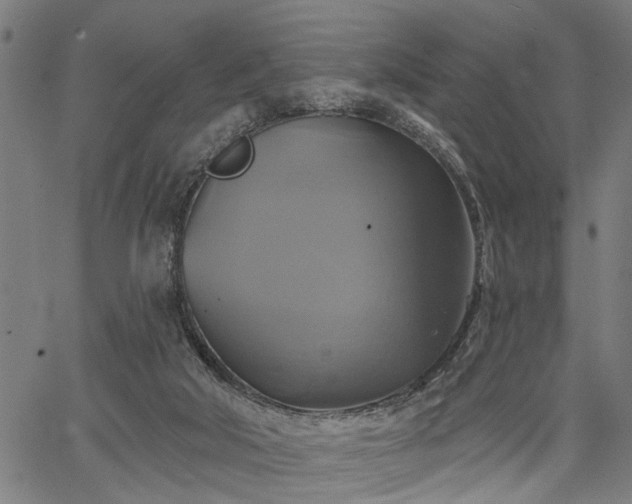 X0000067350018200604030945