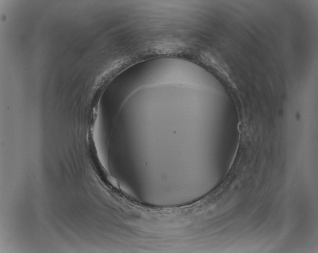 X0000067350019200604030945