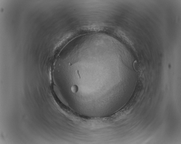 X0000067350020200604030945