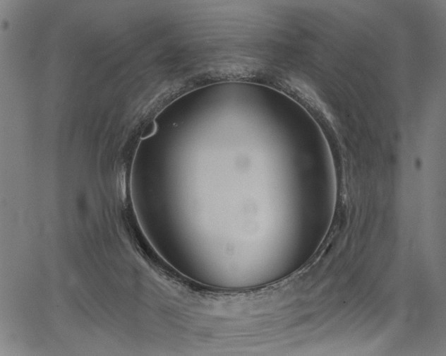 X0000067350021200604030945