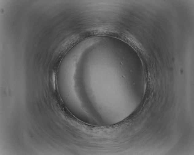 X0000067350022200604030945