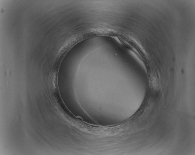 X0000067350023200604030945