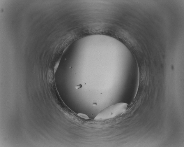 X0000067350025200604030945