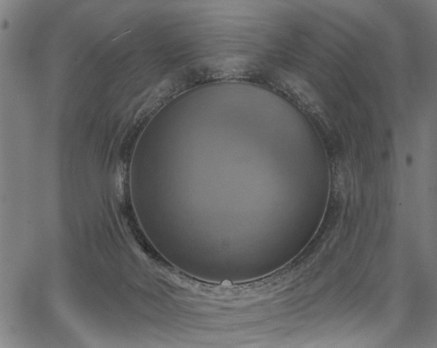 X0000067350026200604030945