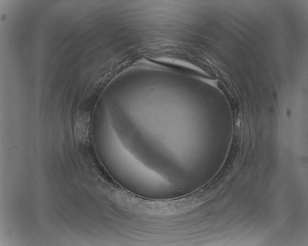 X0000067350030200604030945