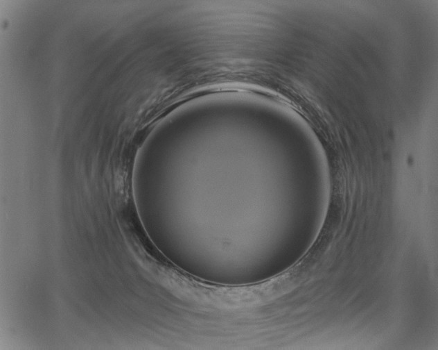 X0000067350031200604030945