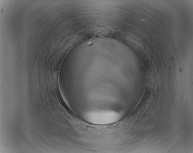 X0000067350034200604030945