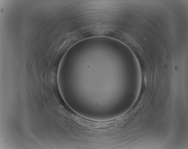 X0000067350035200604030945