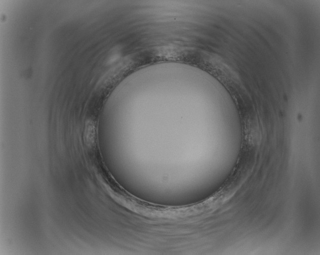 X0000067350036200604030945