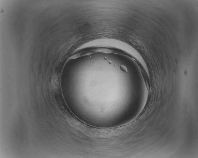 X0000067350037200604030945