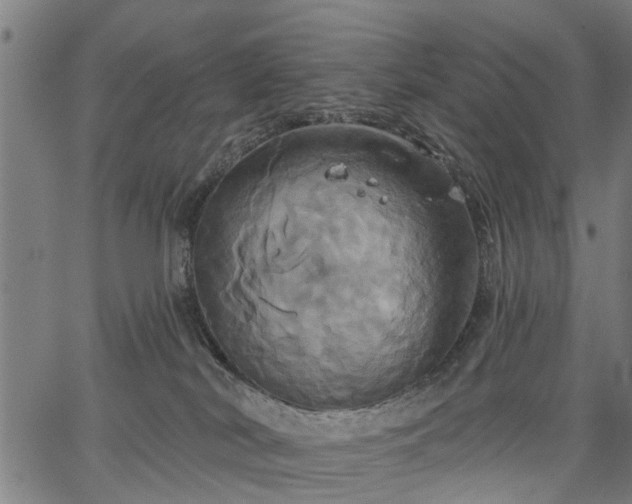 X0000067350038200604030945