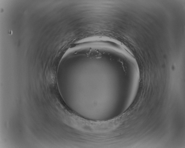 X0000067350039200604030945