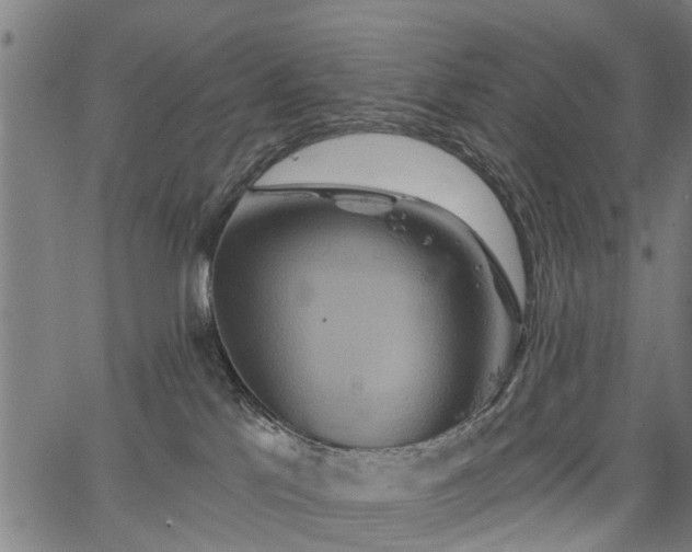 X0000067350041200604030945