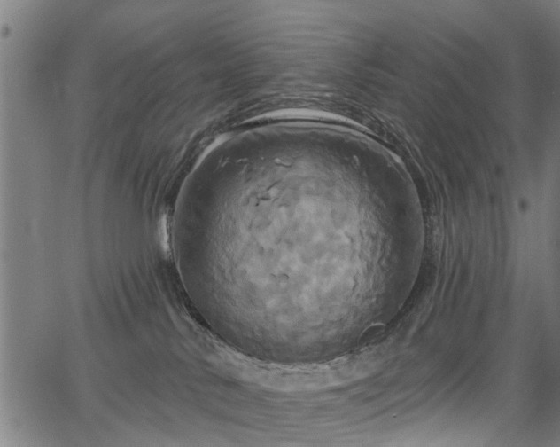 X0000067350042200604030945