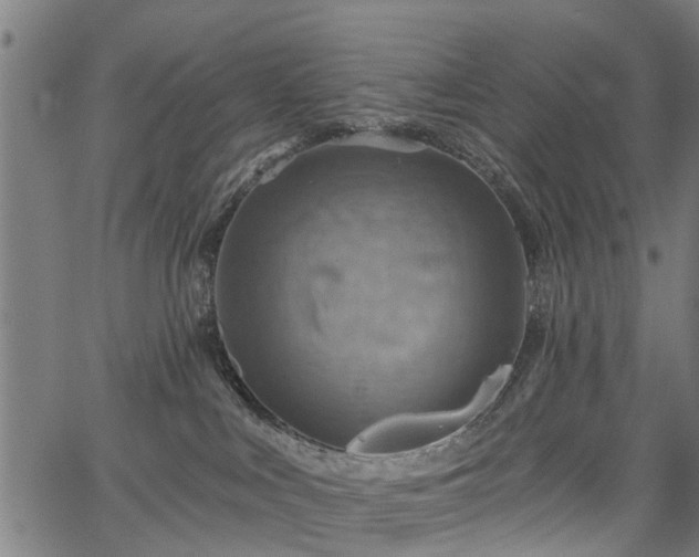 X0000067350043200604030945