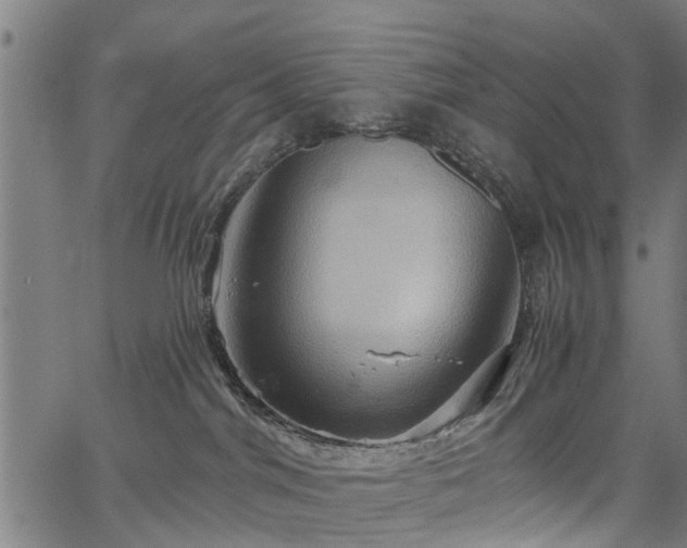 X0000067350044200604030945