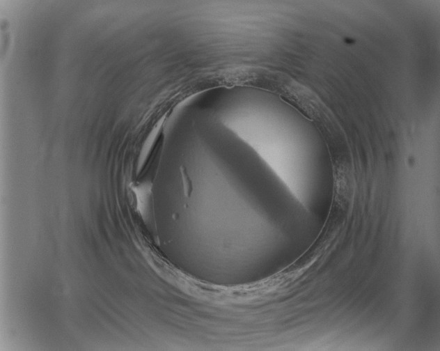 X0000067350046200604030945