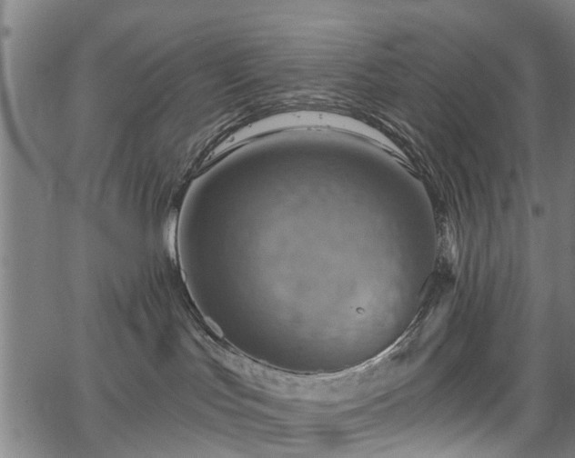 X0000067350047200604030945