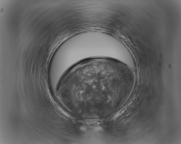 X0000067350049200604030944