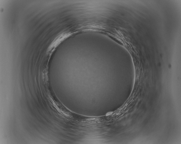 X0000067350050200604030944