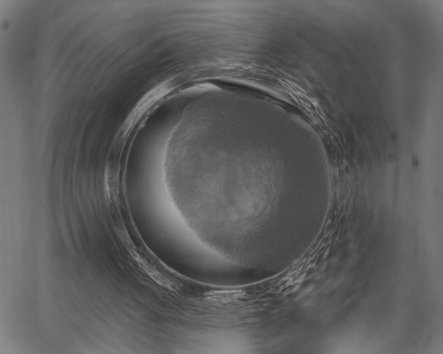 X0000067350051200604030944