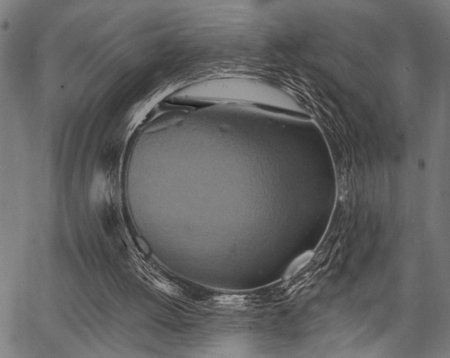 X0000067350052200604030944