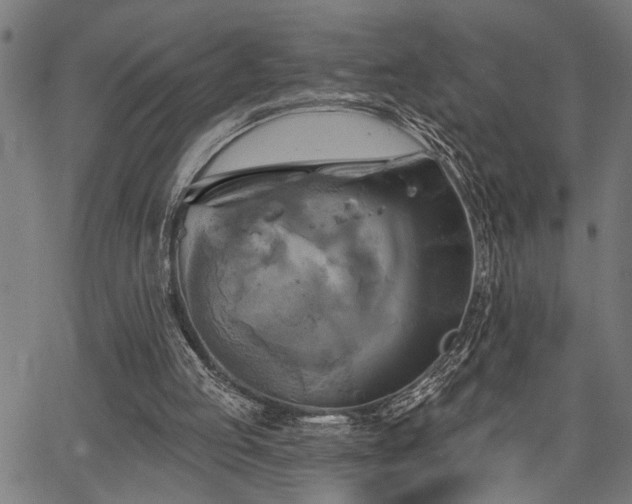 X0000067350053200604030944