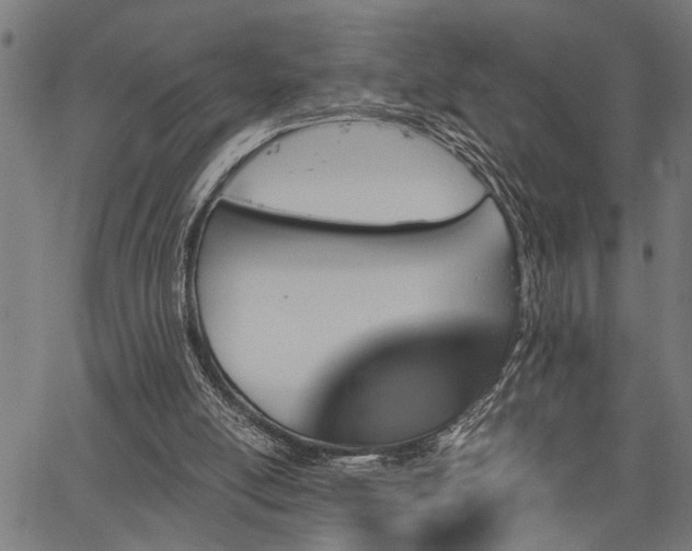 X0000067350054200604030944