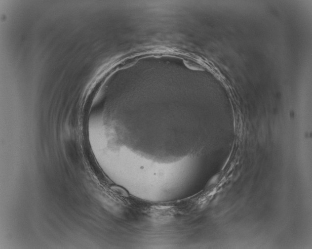 X0000067350055200604030944