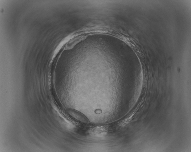 X0000067350056200604030944