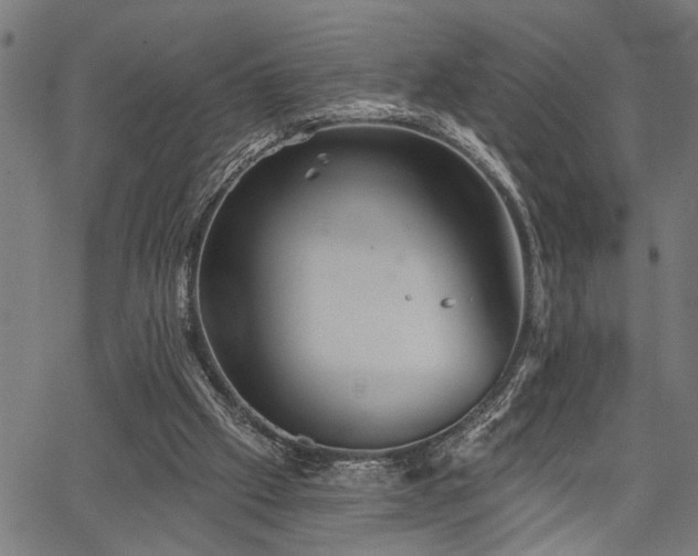 X0000067350057200604030944