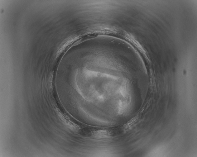 X0000067350058200604030944