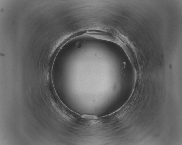 X0000067350060200604030944