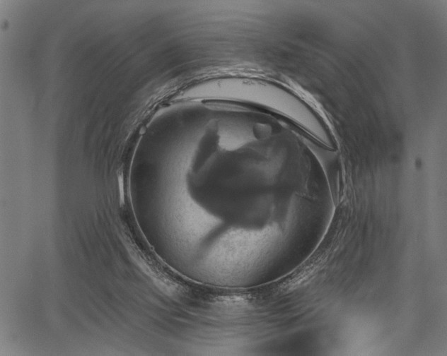 X0000067350061200604030944