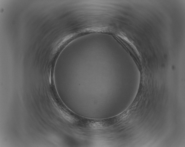 X0000067350062200604030944