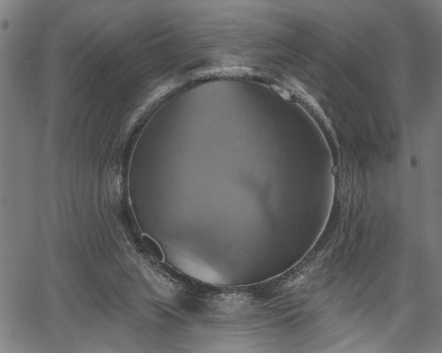 X0000067350063200604030944