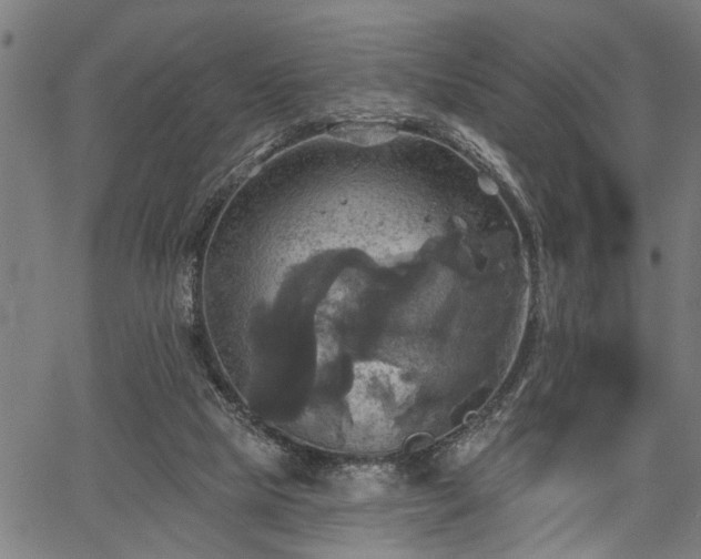 X0000067350065200604030944