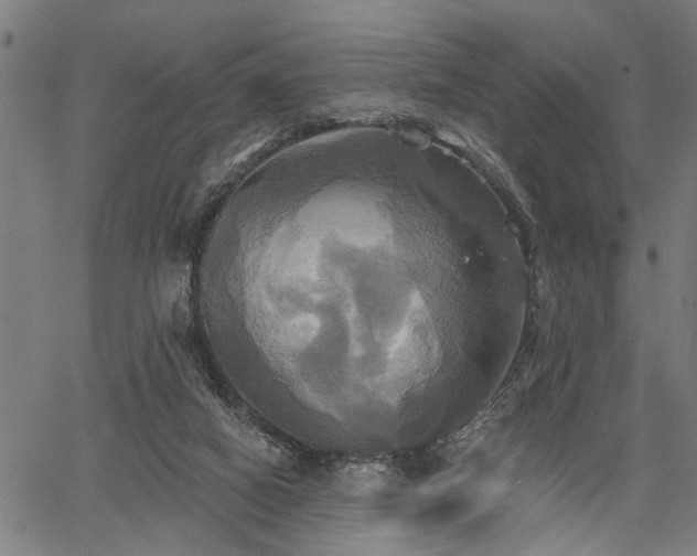 X0000067350066200604030944