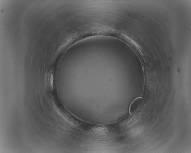 X0000067350067200604030944