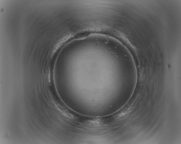 X0000067350068200604030944