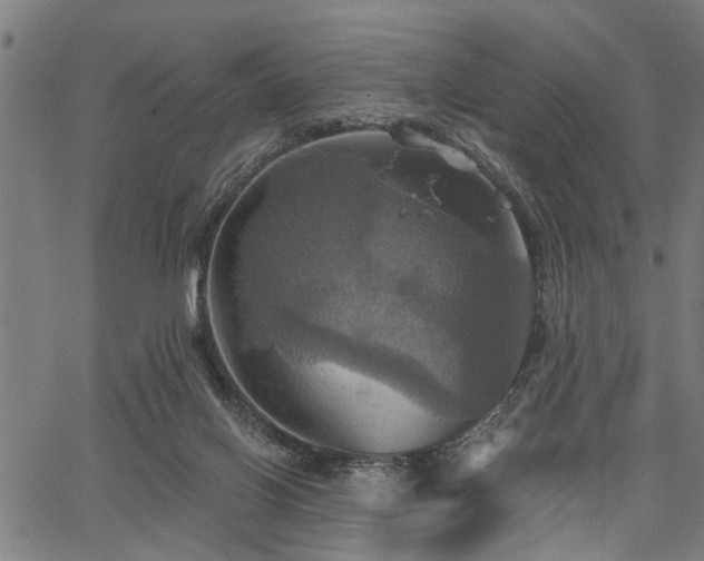 X0000067350070200604030944