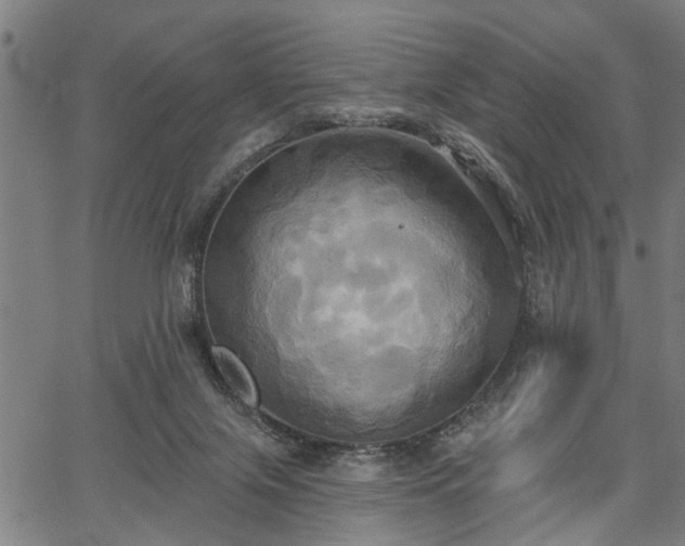 X0000067350071200604030944